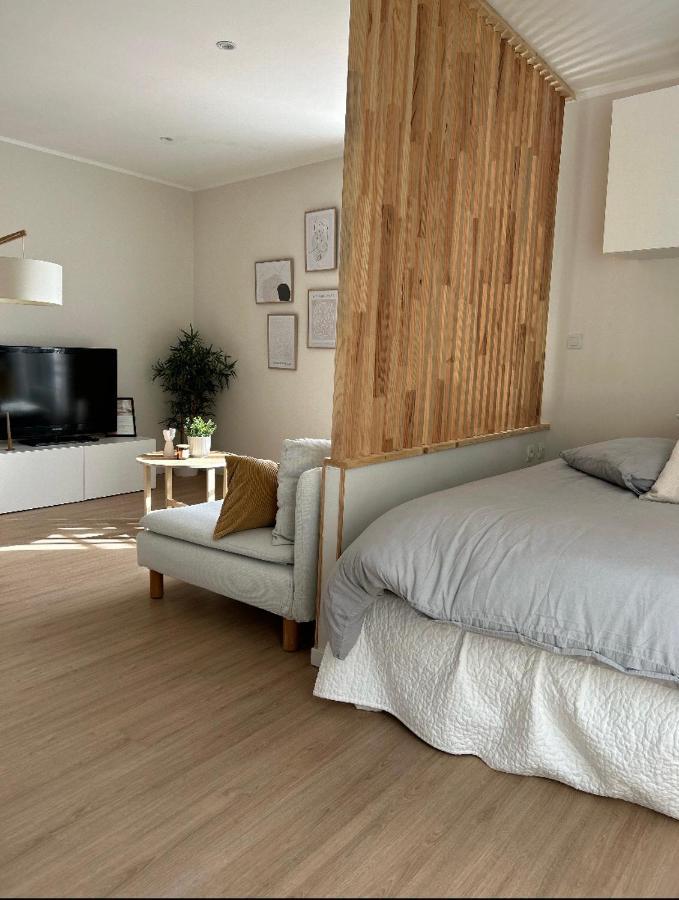 Appartement Hyper Centre De Castres Castres (Tarn)
